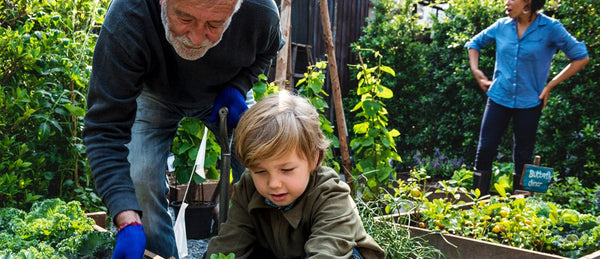 Elderly person gardening