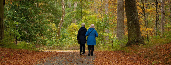 Elderly friends walking