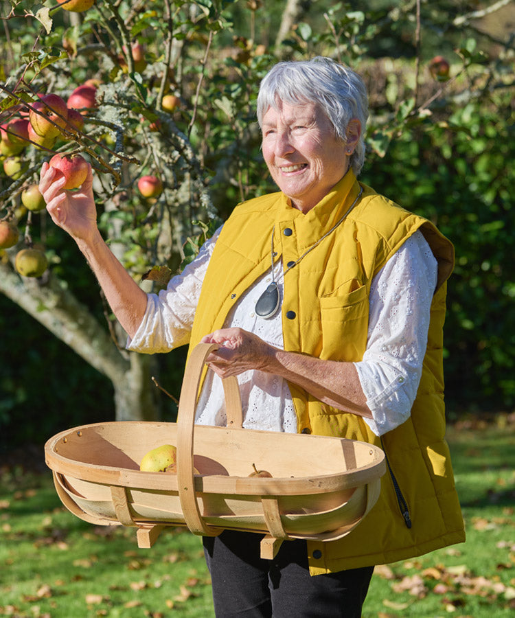 Older woman in a yellow vest holding a wooden basket and picking apples from a tree with a neck alarm pendant.
