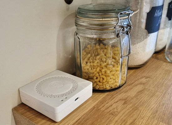 Home sensors to monitor elderly