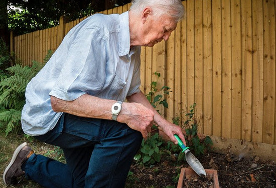 Elderly man wearing digital personal alarm