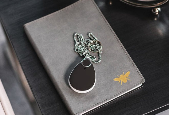 Taking Care Anywhere pendant on desk