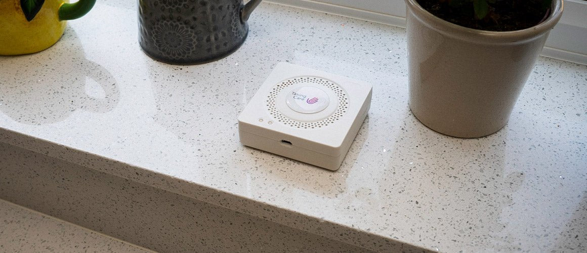 Elderly monitoring device