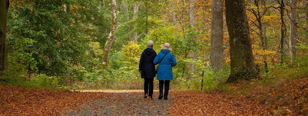 Elderly friends walking
