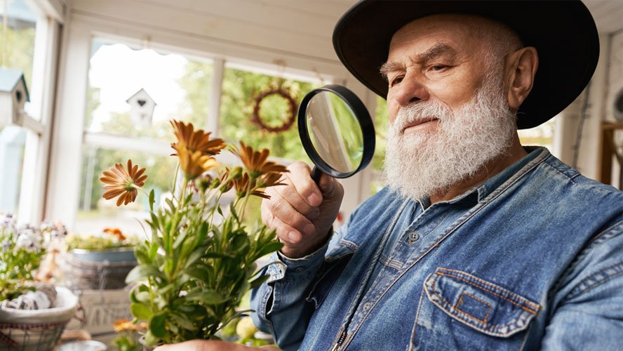 Elderly man flower arranging