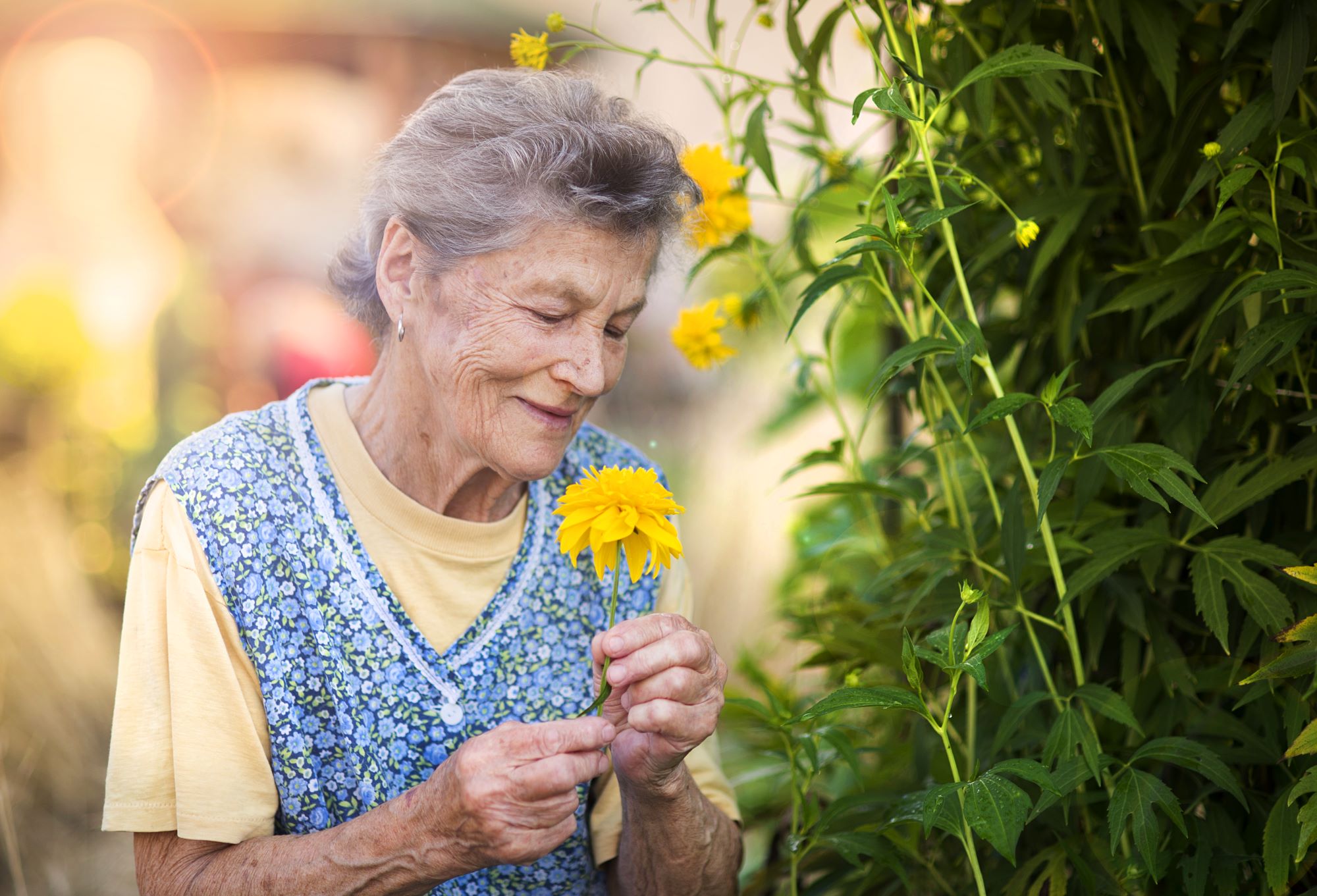 Elderly woman with a colourful flower in her garden