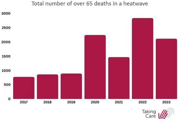 Bar chart showing the total number of over 65 deaths in heatwaves from 2017 to 2023.