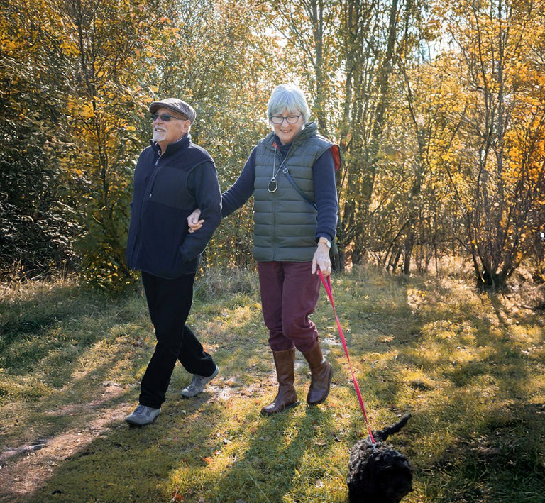 Two people walking a dog in a forest during autumn.